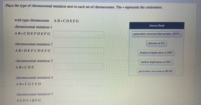 Place the type of chromosomal mutation next to each set of chromosomes. The • represents the centromere.
wild-type chromosome AB CDEFG
chromosomal mutation 1 -
Answer Bank
AB CDEFD E F G
paracentric inversion that includes DEFG
chromosomal mutation 2
deletion of FG
AB.DEFCD E F G
displaced duplication of DEF
chromosomal mutation 3
tandem duplication of DEF
AB.CDE
pericentric inversion of BCDE
chromosomal mutation 4
AB CGFED
chromosomal mutation 5
AEDC BFG
