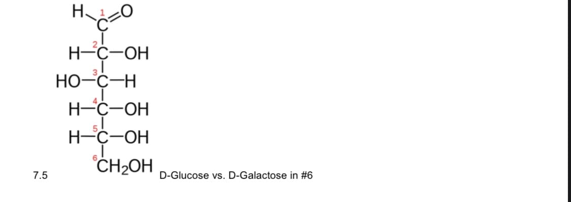 7.5
H.
H=C=O
H-C-OH
HO–C-H
H-C-OH
sl
H-C-OH
CH₂OH
D-Glucose vs. D-Galactose in #6