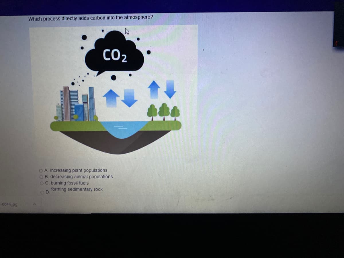 Which process directly adds carbon into the atmosphere?
CO2
OA. increasing plant populations
OB. decreasing animal populations
OC. burning fossil fuels
forming sedimentary rock
OD
-0044 jpg
