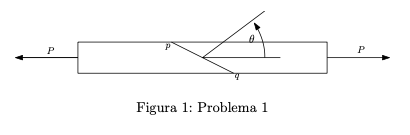 P
Figura 1: Problema 1
P