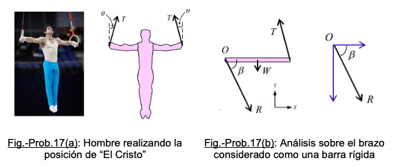 R
Fig.-Prob.17(a): Hombre realizando la
posición de "El Cristo"
Fig.-Prob.17(b): Análisis sobre el brazo
considerado como una barra rígida
