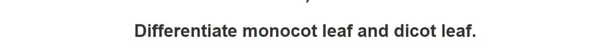 Differentiate monocot leaf and dicot leaf.