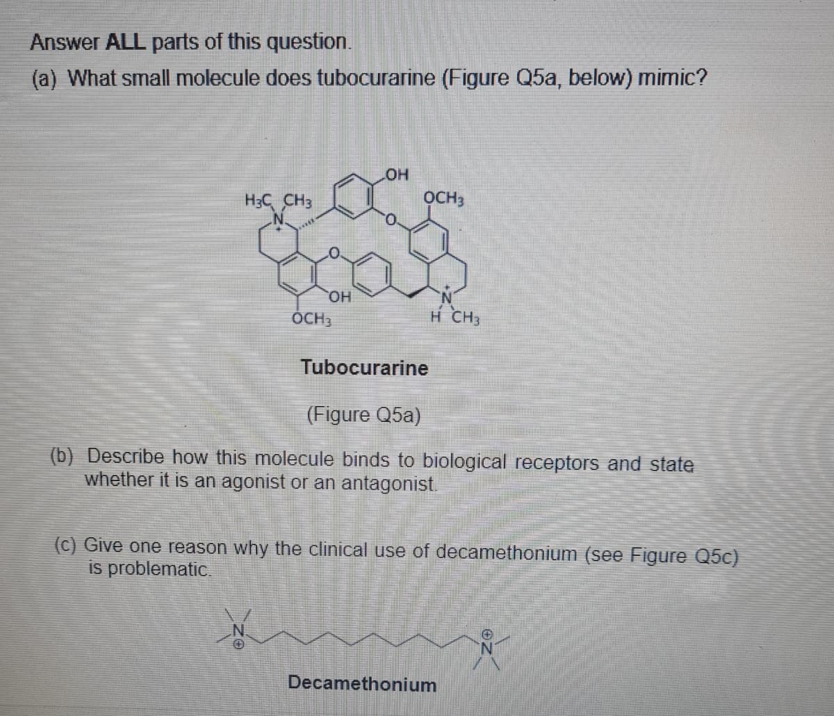 Answer ALL parts of this question.
(a) What small molecule does tubocurarine (Figure Q5a, below) mimic?
HO
OCH3
H;C CH3
HO.
OCH
H CH,
Tubocurarine
(Figure Q5a)
(b) Describe how this molecule binds to biological receptors and state
whether it is an agonist or an antagonist.
(c) Give one reason why the clinical use of decamethonium (see Figure Q5c)
is problematic.
Decamethonium
