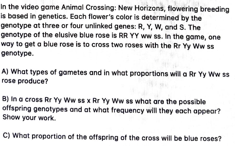 In the video game Animal Crossing: New Horizons, flowering breeding
is based in genetics. Each flower's color is determined by the
genotype at three or four unlinked genes: R, Y, W, and S. The
genotype of the elusive blue rose is RR YY ww ss. In the game, one
way to get a blue rose is to cross two roses with the Rr Yy Ww ss
genotype.
A) What types of gametes and in what proportions will a Rr Yy Ww ss
rose produce?
B) In a cross Rr Yy Ww ss x Rr Yy Ww ss what are the possible
offspring genotypes and at what frequency will they each appear?
Show your work.
C) What proportion of the offspring of the cross will be blue roses?
