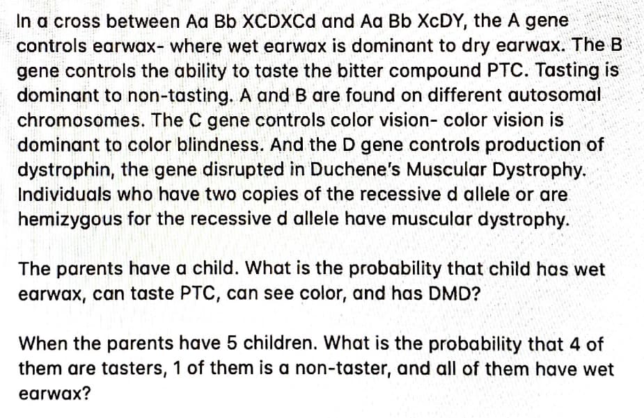In a cross between Aa Bb XCDXCD and Aa Bb XCDY, the A gene
controls earwax- where wet earwax is dominant to dry earwax. The B
gene controls the ability to taste the bitter compound PTC. Tasting is
dominant to non-tasting. A and B are found on different autosomal
chromosomes. The C gene controls color vision- color vision is
dominant to color blindness. And the D gene controls production of
dystrophin, the gene disrupted in Duchene's Muscular Dystrophy.
Individuals who have two copies of the recessive d allele or are
hemizygous for the recessive d allele have muscular dystrophy.
The parents have a child. What is the probability that child has wet
earwax, can taste PTC, can see color, and has DMD?
When the parents have 5 children. What is the probability that 4 of
them are tasters, 1 of them is a non-taster, and all of them have wet
earwax?
