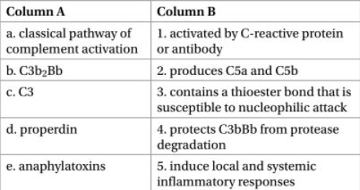 Column B
1. activated by C-reactive protein
Column A
a. classical pathway of
| complement activation or antibody
b. C3b,Bb
с. СЗ
2. produces C5a and C5b
3. contains a thioester bond that is
susceptible to nucleophilic attack
d. properdin
4. protects C3bBb from protease
|degradation
5. induce local and systemic
inflammatory responses
e. anaphylatoxins
