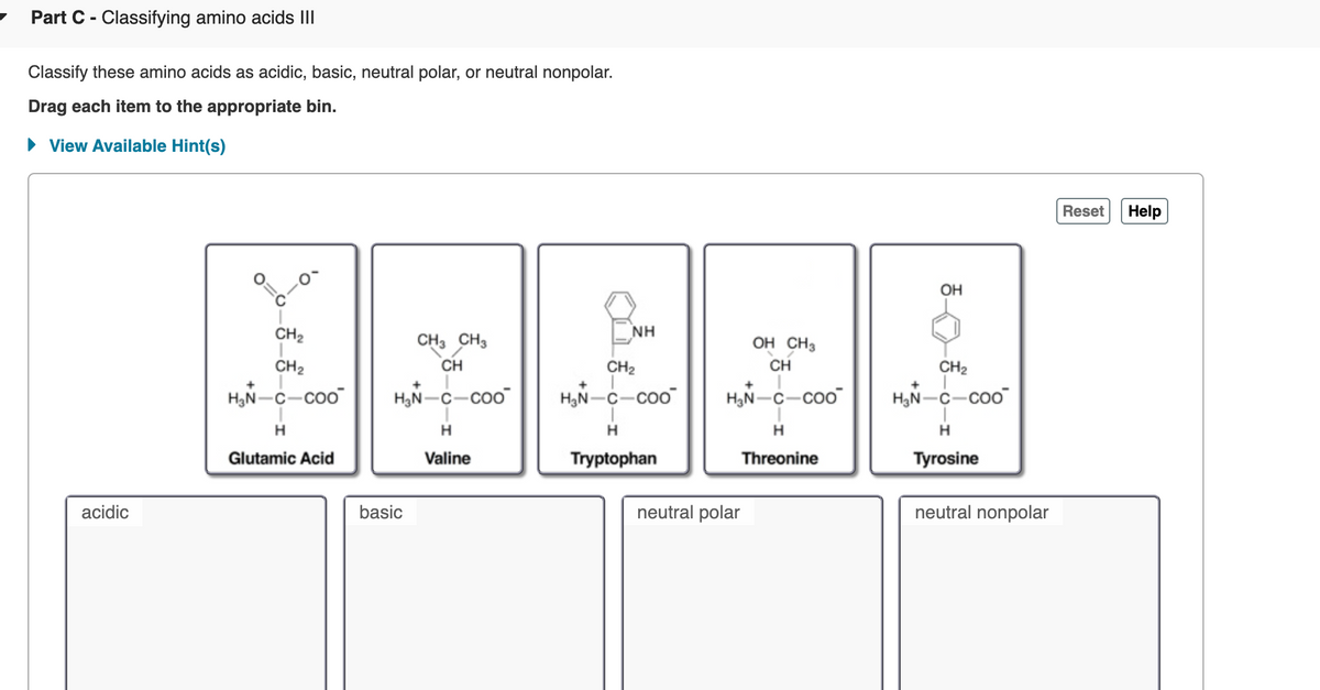 Part C- Classifying amino acids II
Classify these amino acids as acidic, basic, neutral polar, or neutral nonpolar.
Drag each item to the appropriate bin.
• View Available Hint(s)
Reset
Help
OH
CH2
CH3 CH3
NH
OH CH3
CH2
CH
CH2
CH
CH2
H,N-C-coo
H3N-C-coo
H,N-C-coo
H3N-C-coo
H3N-C-coo
H
H
Glutamic Acid
Valine
Tryptophan
Threonine
Tyrosine
acidic
basic
neutral polar
neutral nonpolar
'o
