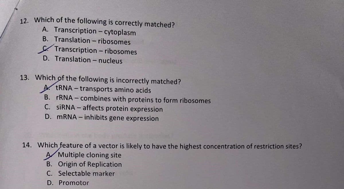 12. Which of the following is correctly matched?
A. Transcription - cytoplasm
B. Translation -ribosomes
C Transcription – ribosomes
D. Translation – nucleus
|
13. Which of the following is incorrectly matched?
A TRNA – transports amino acids
B. rRNA- combines with proteins to form ribosomes
C. SİRNA - affects protein expression
D. MRNA – inhibits gene expression
14. Which feature of a vector is likely to have the highest concentration of restriction sites?
A Multiple cloning site
B. Origin of Replication
C. Selectable marker
D. Promotor
