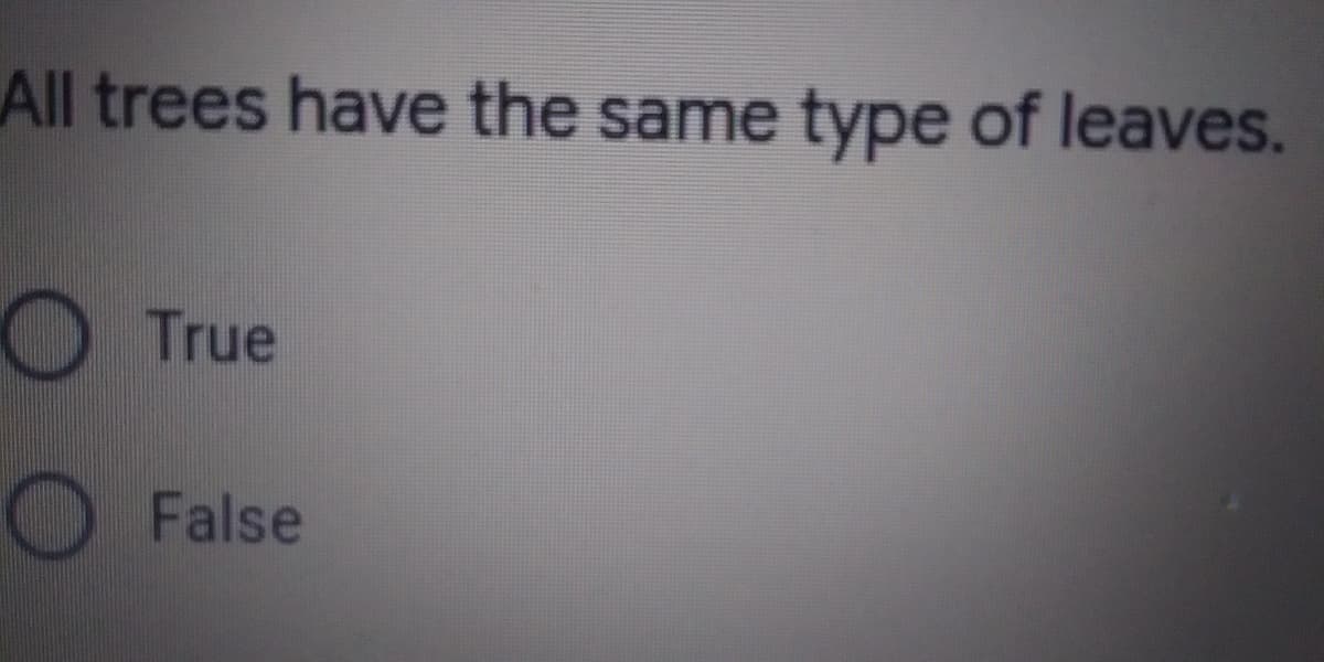 All trees have the same type of leaves.
OTrue
O False
