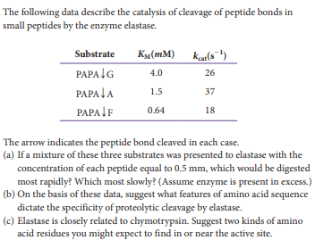 The following data describe the catalysis of cleavage of peptide bonds in
small peptides by the enzyme elastase.
Substrate
Ka(mM) ka(s")
PAPAIG
4.0
26
PAPA JA
1.5
37
PAPA ĮF
0.64
18
The arrow indicates the peptide bond cleaved in each case.
(a) If a mixture of these three substrates was presented to elastase with the
concentration of each peptide equal to 0.5 mm, which would be digested
most rapidly? Which most slowly? (Assume enzyme is present in excess.)
(b) On the basis of these data, suggest what features of amino acid sequence
dictate the specificity of proteolytic cleavage by elastase.
(c) Elastase is closely related to chymotrypsin. Suggest two kinds of amino
acid residues you might expect to find in or near the active site.
