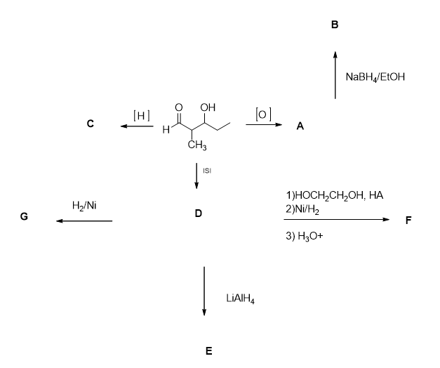 NaBH/ELOH
l0], A
OH
[H]
ČH3
