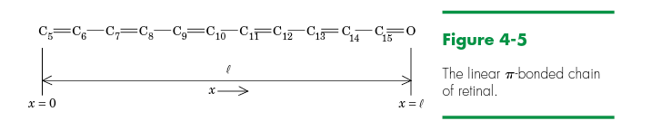 C;=C6-C,=Cg–C3=C10 CFC;2 CF GFO
Figure 4-5
The linear r-bonded chain
of retinal.
x = 0
x =
