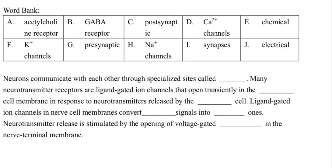 Word Bank:
А.
acetylcholi
В.
GABA
С.
postsynapt
D.
Ca2+
Е.
chemical
ne receptor
receptor
ic
channels
F.
presynaptic H.
K*
G.
Na+
I.
synapses
J.
electrical
channels
channels
Neurons communicate with each other through specialized sites called
Many
neurotransmitter receptors are ligand-gated ion channels that open transiently in the
cell membrane in response to neurotransmitters released by the
cell. Ligand-gated
ion channels in nerve cell membranes convert
Neurotransmitter release is stimulated by the opening of voltage-gated
_signals into
ones.
in the
nerve-terminal membrane.
