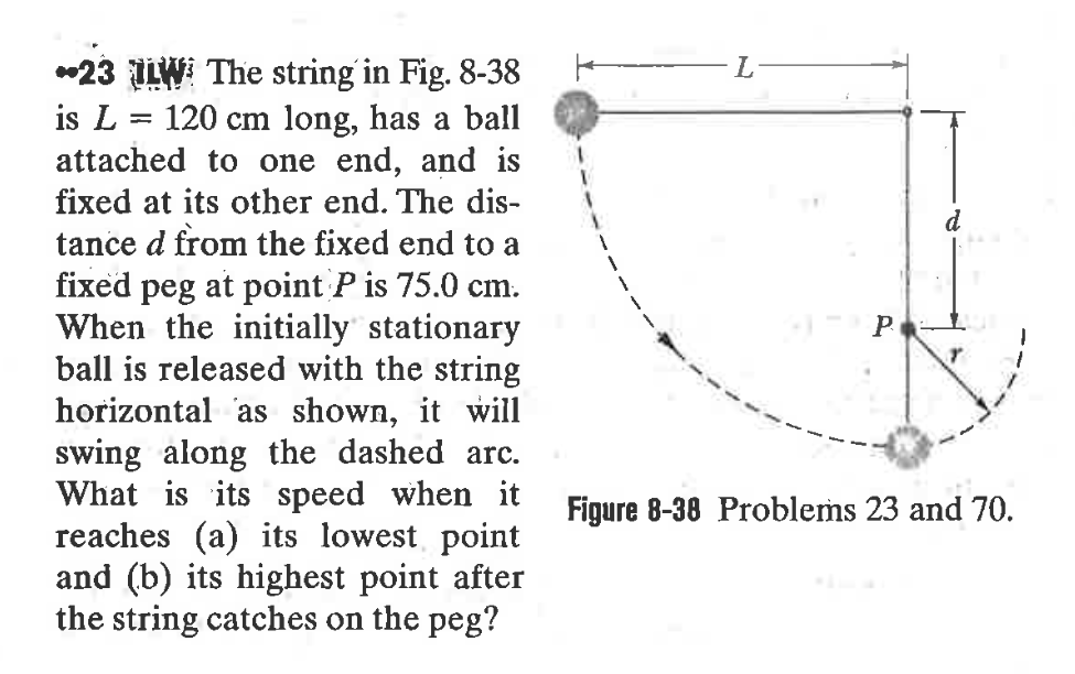 *23 ILW The string in Fig. 8-38
is L
attached to one end, and is
fixed at its other end. The dis-
tance d from the fixed end to a
120 cm long, has a ball
d
fixed peg at point P is 75.0 cm.
When the initially stationary
ball is released with the string
horizontal as shown, it will
swing along the dashed arc.
What is its speed when it
reaches (a) its lowest point
and (b) its highest point after
the string catches on the peg?
Figure 8-38 Problems 23 and 70.
