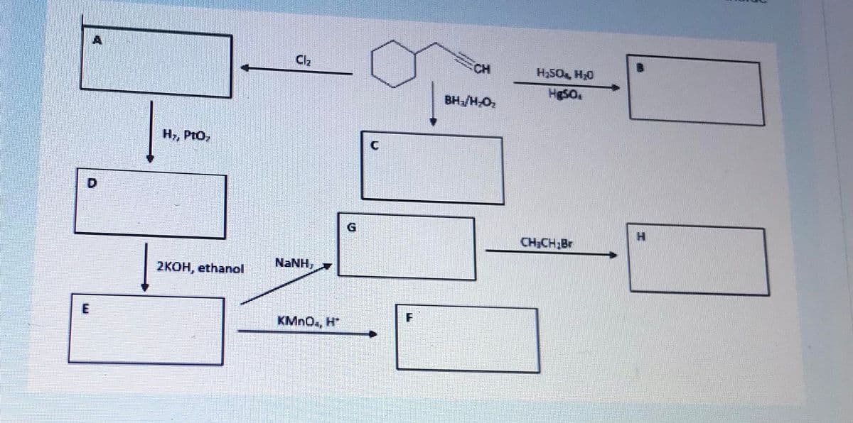Cl2
CH
H,50, H20
HgSO.
BH/H-Oz
H, PtO,
D.
G.
H.
CH;CH2B
NANH,
2KOH, ethanol
KMNO., H*
