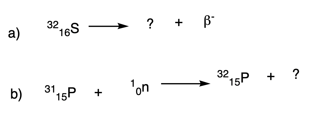 a)
b)
32
31
16S
115P +
? + ß-
¹on
32
15P
+
?