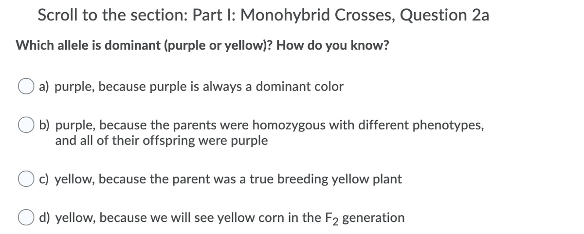 Scroll to the section: Part I: Monohybrid Crosses, Question 2a
Which allele is dominant (purple or yellow)? How do you know?
a) purple, because purple is always a dominant color
O b) purple, because the parents were homozygous with different phenotypes,
and all of their offspring were purple
c) yellow, because the parent was a true breeding yellow plant
O d) yellow, because we will see yellow corn in the F2 generation
