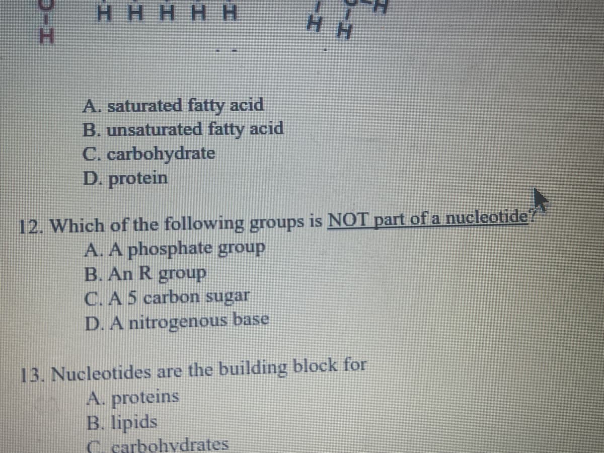 HHHHH
H H
H.
A. saturated fatty acid
B. unsaturated fatty acid
C. carbohydrate
D. protein
12. Which of the following groups is NOT part of a nucleotide?
A. A phosphate group
B. An R group
C. A 5 carbon sugar
D. A nitrogenous base
13. Nucleotides are the building block for
A. proteins
B. lipids
C. sarbohydrates
