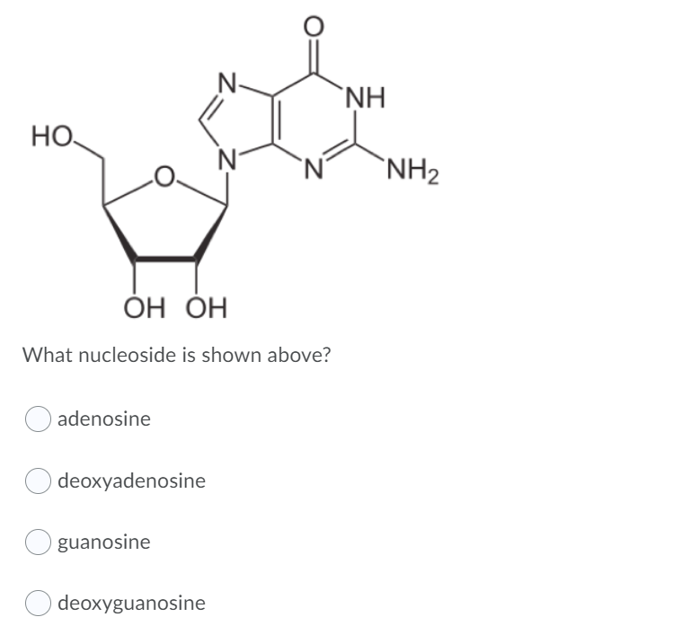 `NH
HO
`N'
`NH2
ОН ОН
ÓH
What nucleoside is shown above?
adenosine
O deoxyadenosine
guanosine
deoxyguanosine
