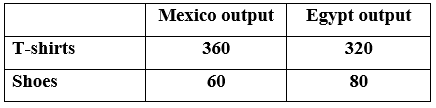 T-shirts
Shoes
Mexico output
360
60
Egypt output
320
80