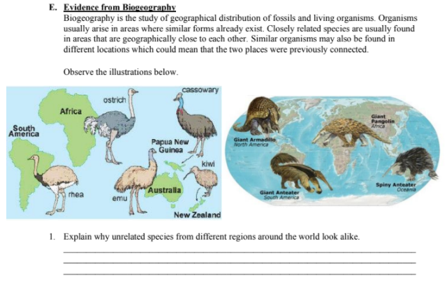 E. Evidence from Biogeography
Biogeography is the study of geographical distribution of fossils and living organisms. Organisms
usually arise in areas where similar forms already exist. Closely related species are usually found
in areas that are geographically close to each other. Similar organisms may also be found in
different locations which could mean that the two places were previously connected.
Observe the illustrations below.
cassowary
ostrich
Africa
Giant
Pangolin
South
America
Papua New
Guinea
Giant Armadillo
North America
kiwi
Australla
Spiny Anteater
Oceania
Giant Anteater
rhea
emu
South America
New Zealand
1. Explain why unrelated species from different regions around the world look alike.
