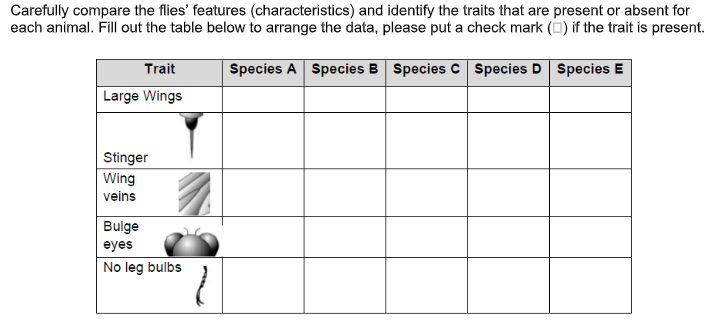 Carefully compare the flies' features (characteristics) and identify the traits that are present or absent for
each animal. Fill out the table below to arrange the data, please put a check mark (O) if the trait is present.
Trait
Species A Species B Species C Species D Species E
Large Wings
| Stinger
Wing
veins
Bulge
eyes
No leg bulbs
