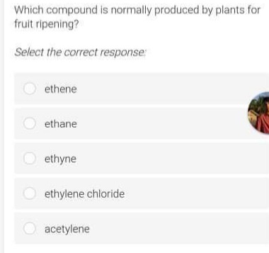 Which compound is normally produced by plants for
fruit ripening?
Select the correct response:
ethene
ethane
ethyne
ethylene chloride
acetylene
