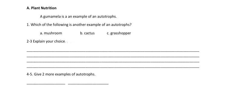 A. Plant Nutrition
A gumamela is a an example of an autotrophs.
1. Which of the following is another example of an autotrophs?
a. mushroom
b. cactus
c. grasshopper
2-3 Explain your choice.
4-5. Give 2 more examples of autotrophs.