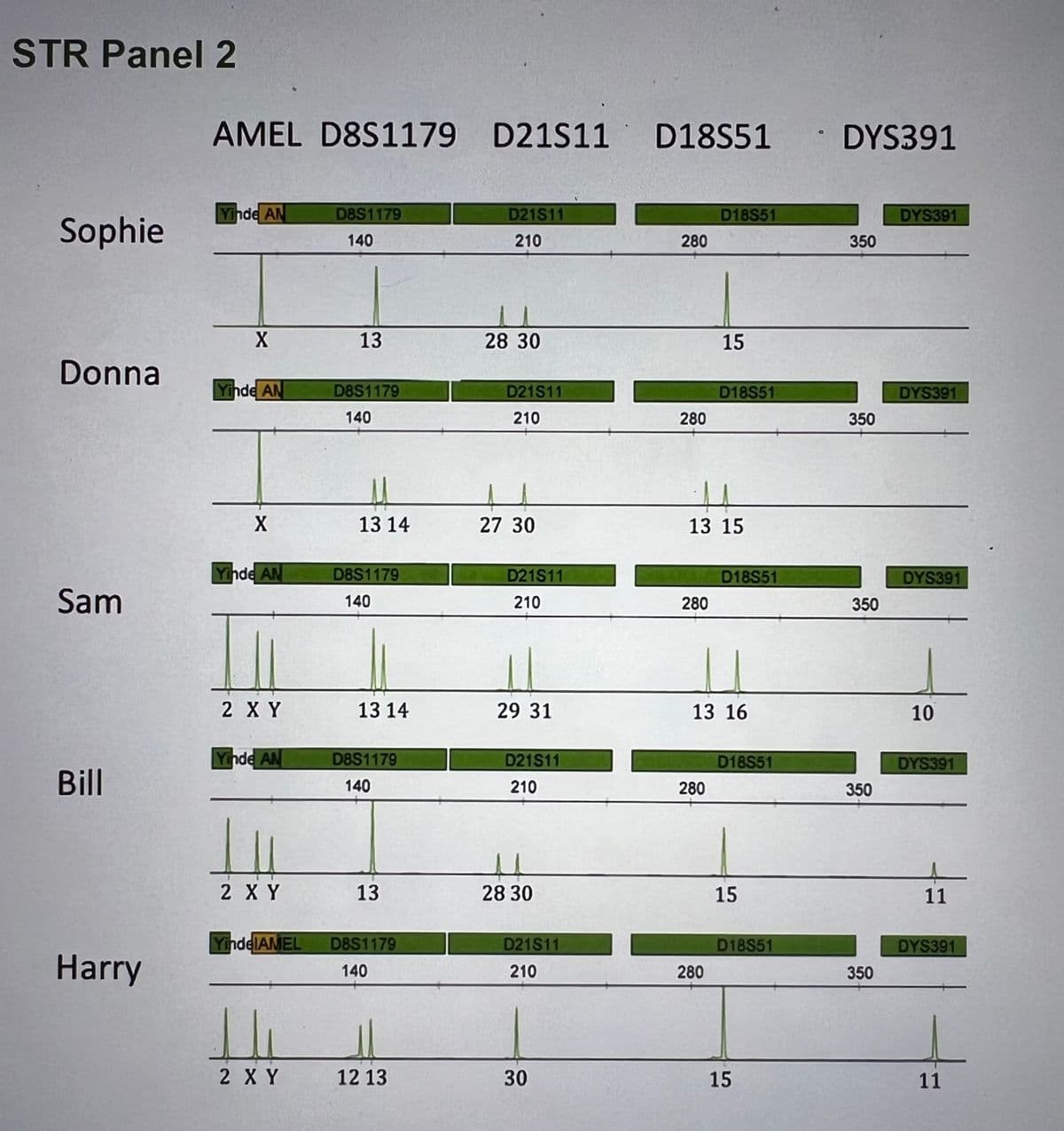 STR Panel 2
Sophie
Donna
Sam
Bill
Harry
AMEL D8S1179 D21S11
Yinde AN
X
Yinde AN
X
Yinde AN
2 X Y
inde AN
2 X Y
YindelAMEL
2 X Y
D8S1179
140
13
D8S1179
140
11
13 14
D8S1179
140
13 14
D8S1179
140
13
D8S1179
140
12 13
D21S11
210
28 30
D21S11
210
27 30
D21S11
210
29 31
D21S11
210
28 30
D21S11
210
30
D18S51
280
280
280
D18S51
13 15
280
15
280
D18S51
13 16
D18S51
D18S51
15
D18S51
15
• DYS391
350
350
350
350
350
DYS391
DYS391
DYS391
10
DYS391
11
DYS391
11