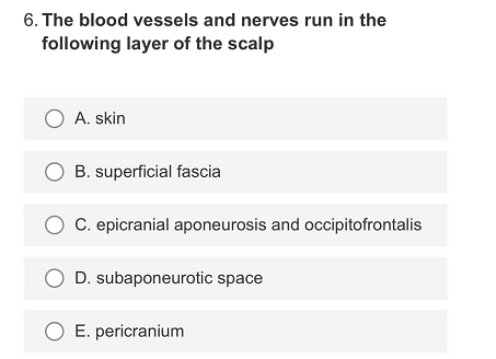6. The blood vessels and nerves run in the
following layer of the scalp
O A. skin
B. superficial fascia
C. epicranial aponeurosis and occipitofrontalis
O D. subaponeurotic space
O E. pericranium