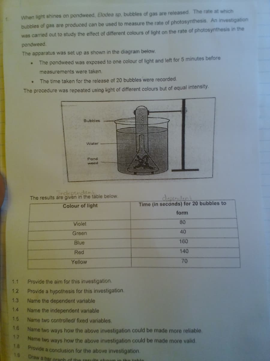 When light shines on pondweed, Elodea sp, bubbles of gas are released. The rate at which
bubbles of gas are produced can be used to measure the rate of photosynthesis. An investigation
was carried out to study the effect of different colours of light on the rate of photosynthesis in the
pondweed.
The apparatus was set up as shown in the diagram below.
The pondweed was exposed to one colour of light and left for 5 minutes before
measurements were taken.
The time taken for the release of 20 bubbles were recorded.
The procedure was repeated using light of different colours but of equal intensity.
Bubbles
Water
Pond
weed
Independent
The results are given in the table below.
Colour of light
dependant
Time (in seconds) for 20 bubbles to
form
Violet
80
Green
40
Blue
160
Red
140
Yellow
70
1.1
Provide the aim for this investigation.
1.2
Provide a hypothesis for this investigation.
1.3
Name the dependent variable
1.4
Name the independent variable
1.5
Name two controlled/ fixed variables.
1.6
Name two ways how the above investigation could be made more reliable.
1.7
Name two ways how the above investigation could be made more valid.
1.8
Provide a conclusion for the above investigation.
1.9
Oraw a bar cranh of the results shoun in the table
