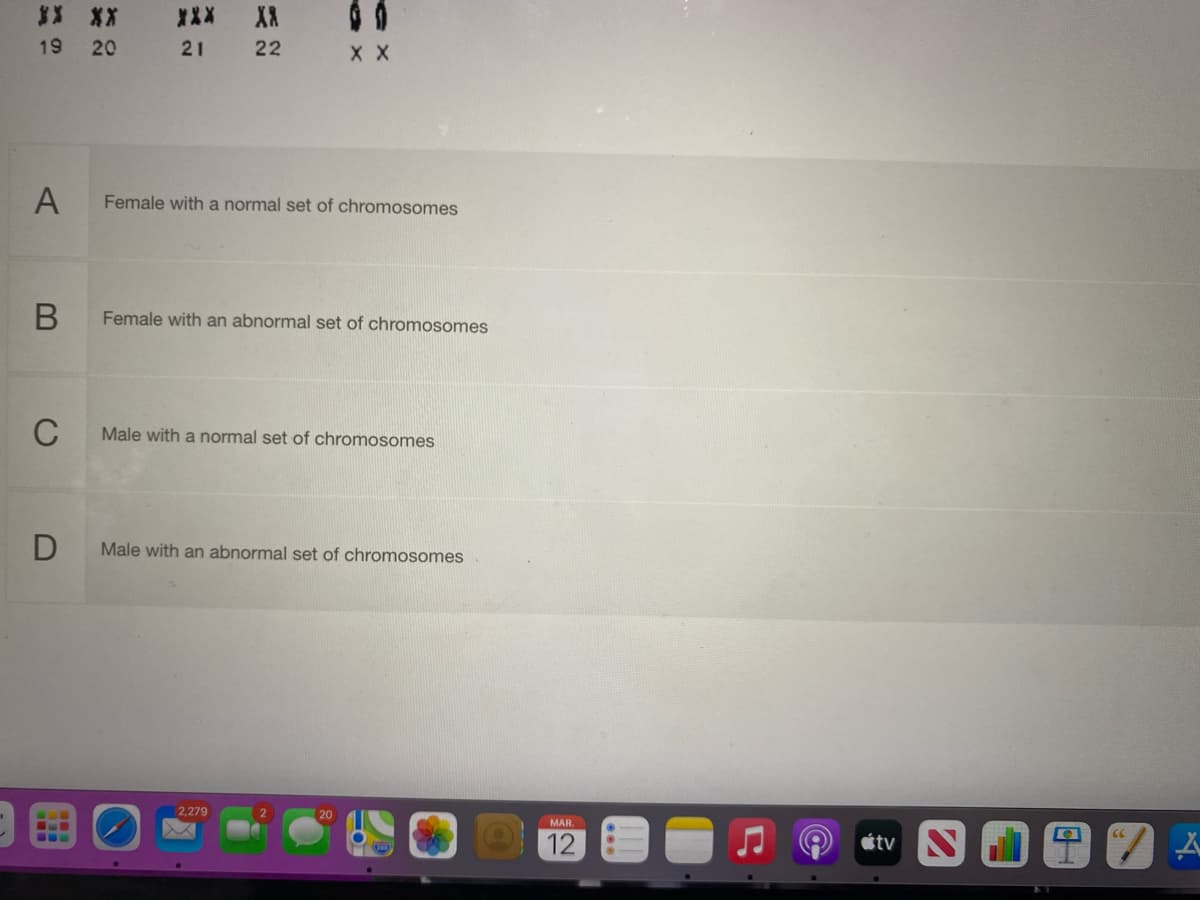 19
20
21
22
X X
A
Female with a normal set of chromosomes
Female with an abnormal set of chromosomes
C
Male with a normal set of chromosomes
Male with an abnormal set of chromosomes
2,279
20
MAR.
12
étv N
