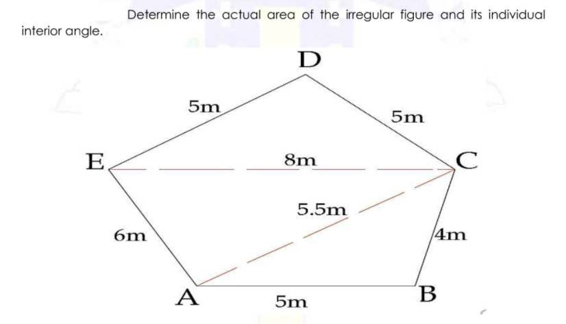 Determine the actual area of the irregular figure and its individual
interior angle.
D
5m
5m
E
8m
5.5m
6m
4m
A
´B
5m
