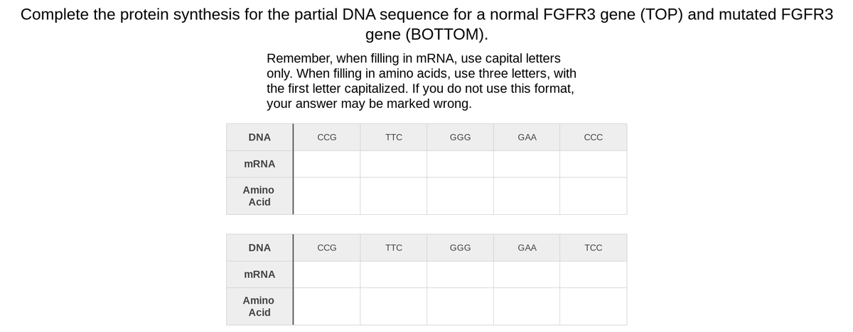Complete the protein synthesis for the partial DNA sequence for a normal FGFR3 gene (TOP) and mutated FGFR3
gene (BOTTOM).
Remember, when filling in mRNA, use capital letters
only. When filling in amino acids, use three letters, with
the first letter capitalized. If you do not use this format,
your answer may be marked wrong.
DNA
CCG
TTC
GGG
GAA
ССС
MRNA
Amino
Acid
DNA
CCG
TTC
GGG
GAA
TCC
MRNA
Amino
Acid
