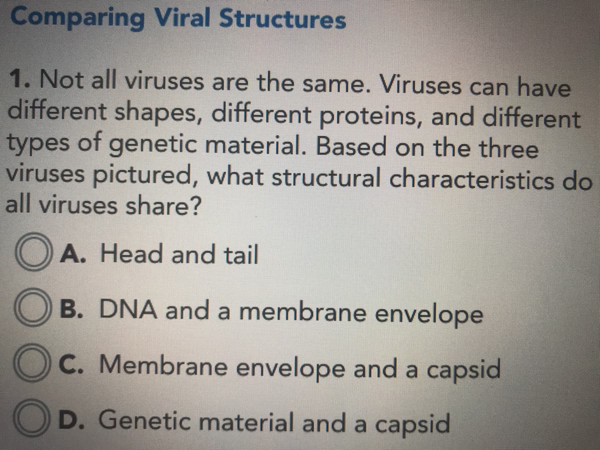 Comparing Viral Structures
1. Not all viruses are the same. Viruses can have
different shapes, different proteins, and different
types of genetic material. Based on the three
viruses pictured, what structural characteristics do
all viruses share?
A. Head and tail
B. DNA and a membrane envelope
C. Membrane envelope and a capsid
D. Genetic material and a capsid
