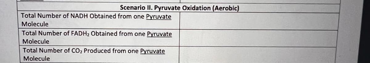 Scenario II. Pyruvate Oxidation (Aerobic)
Total Number of NADH Obtained from one Pyruvate
Molecule
Total Number of FADH2 Obtained from one Pyruvate
Molecule
Total Number of CO, Produced from one Pyruvate
Molecule
