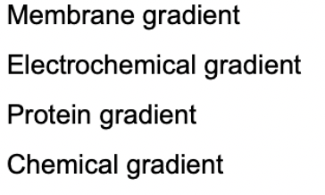 Membrane gradient
Electrochemical gradient
Protein gradient
Chemical gradient
