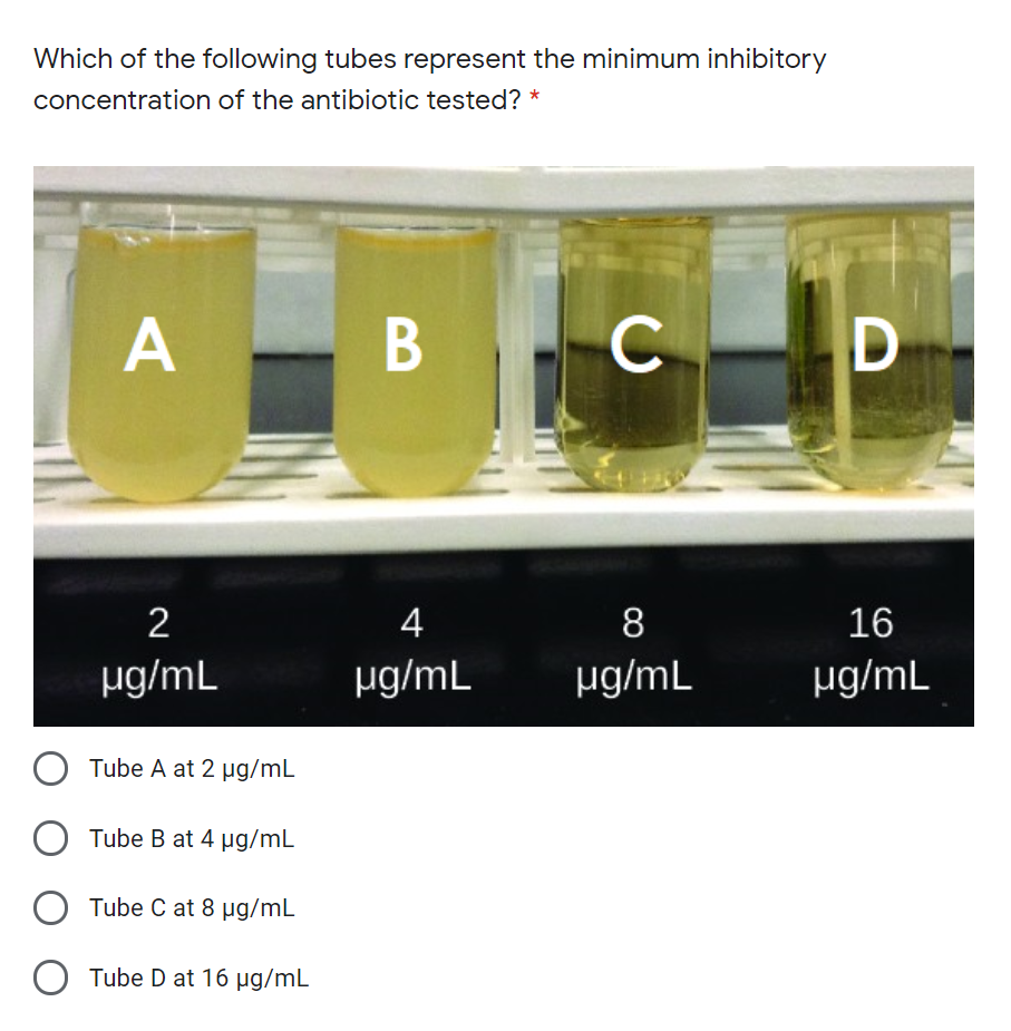 Which of the following tubes represent the minimum inhibitory
concentration of the antibiotic tested? *
B
C D
2
4
8
16
µg/mL
µg/mL
µg/mL
ug/mL
Tube A at 2 µg/mL
Tube B at 4 µg/mL
Tube C at 8 µg/mL
O Tube D at 16 µg/mL
A,

