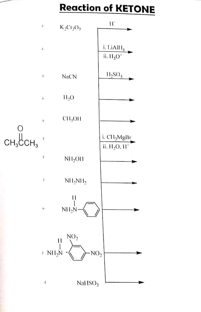 Reaction of KETONE
||
K,Cr,O7
i. LIAIH,
ii. H,O*
NaCN
1,SO4
CH;OH
CH,bCH,
i. Cl1;MgBr
ii. H,O, H'
NH,OH
NII,NH,
NO,
+ NH,N
NO,
Nal ISO3
