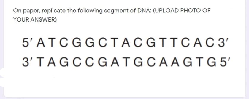 On paper, replicate the following segment of DNA: (UPLOAD PHOTO OF
YOUR ANSWER)
5' ATCGGCTACGITCAC 3'
3'TAGCCGATGCAA GTG 5'
