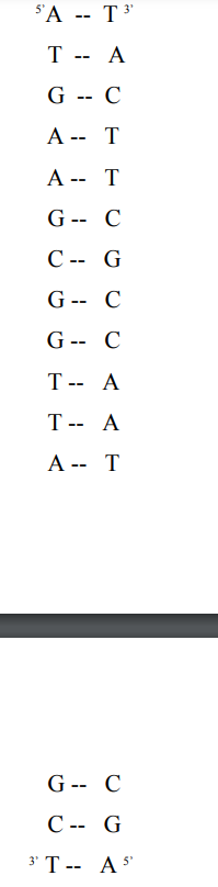 SAT 3¹
T
- A
G -- C
A -- T
A -- T
G -- C
C - G
G -- C
G -- C
T -- A
T -- A
A -- T
G-- C
C-- G
3¹ T -- A5¹
--