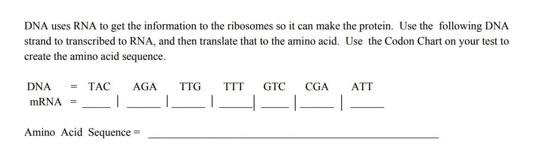 DNA uses RNA to get the information to the ribosomes so it can make the protein. Use the following DNA
strand to transcribed to RNA, and then translate that to the amino acid. Use the Codon Chart on your test to
create the amino acid sequence.
DNA = TAC
AGA
TTG TTT GTC
CGA
ATT
mRNA =
Amino Acid Sequence =