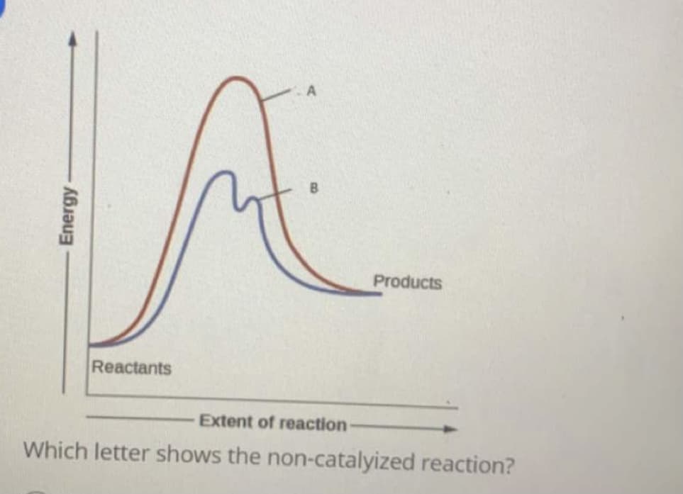 Products
Reactants
Extent of reaction
Which letter shows the non-catalyized reaction?
Energy

