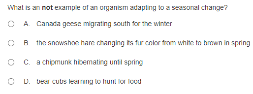 What is an not example of an organism adapting to a seasonal change?
O A. Canada geese migrating south for the winter
O B. the snowshoe hare changing its fur color from white to brown in spring
C. a chipmunk hibernating until spring
O D. bear cubs learning to hunt for food
