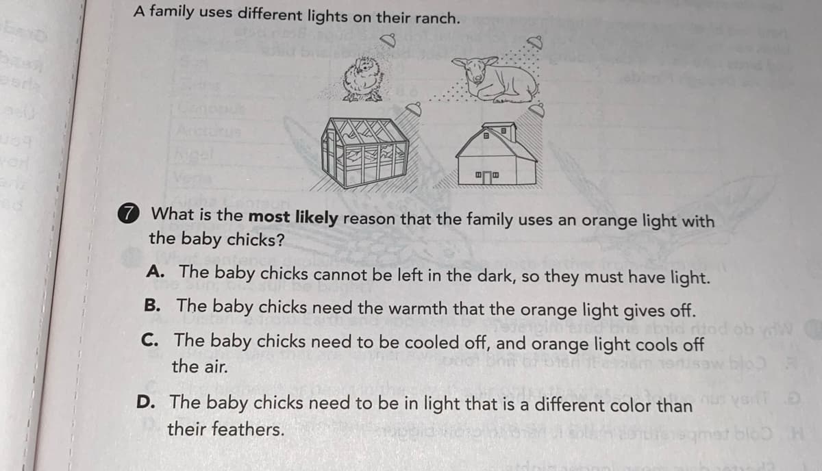 A family uses different lights on their ranch.
7 What is the most likely reason that the family uses an orange light with
the baby chicks?
A. The baby chicks cannot be left in the dark, so they must have light.
B. The baby chicks need the warmth that the orange light gives off.
bid diod
C. The baby chicks need to be cooled off, and orange light cools off
the air.
D. The baby chicks need to be in light that is a different color than
their feathers.
