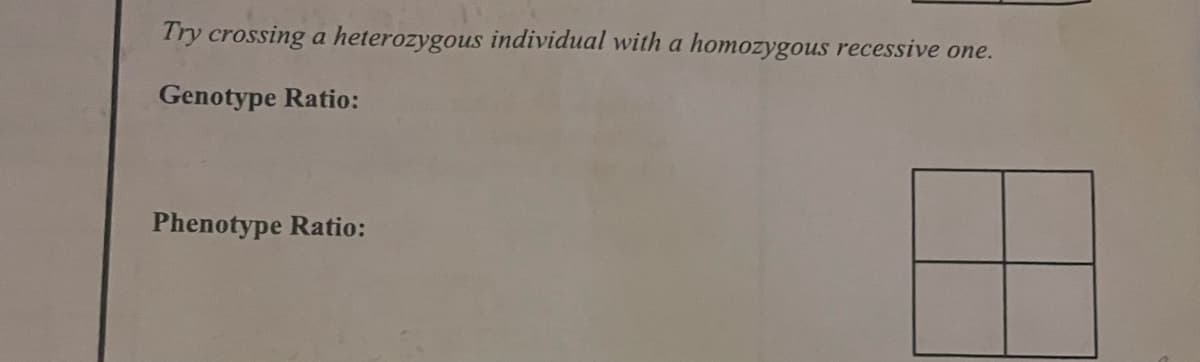 Try crossing a heterozygous individual with a homozygous recessive one.
Genotype Ratio:
Phenotype Ratio:
