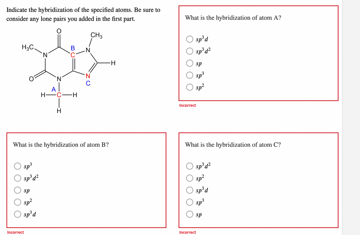 Indicate the hybridization of the specified atoms. Be sure to
consider any lone pairs you added in the first part.
CH3
H3C
3
sp³
sp³ d²
sp
sp²
sp³ d
'N
Incorrect
`N
B
H-C -H
I
What is the hybridization of atom B?
.N
∙H
What is the hybridization of atom A?
sp³ d
sp³ d²
sp
sp³
sp²
Incorrect
What is the hybridization of atom C?
sp³ d²
sp²
sp³ d
3
sp³
sp
Incorrect