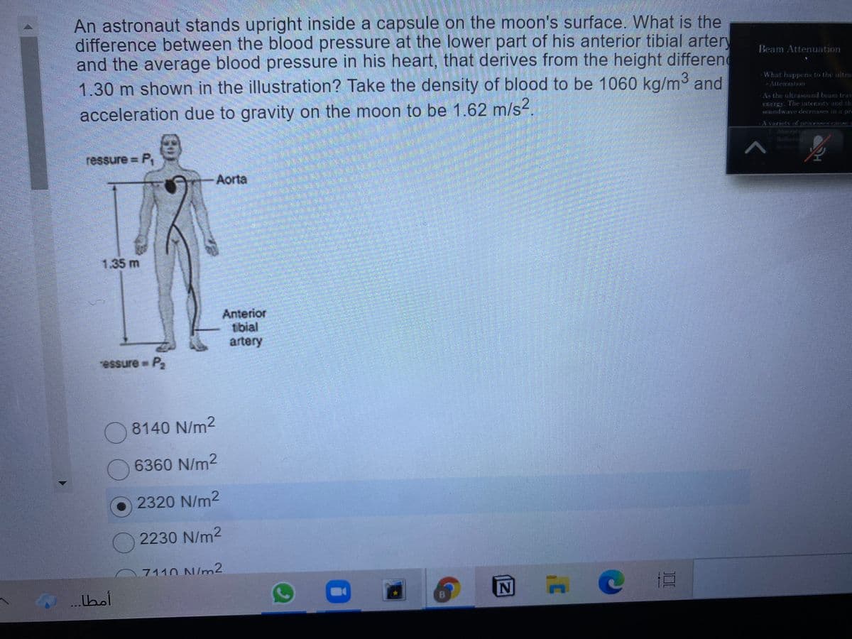 An astronaut stands upright inside a capsule on the moon's surface. What is the
difference between the blood pressure at the lower part of his anterior tibial artery
and the average blood pressure in his heart, that derives from the height differen
1.30 m shown in the illustration? Take the density of blood to be 1060 kg/m3 and
Beam Attenuation
What happens to the ultra
-Altematon
acceleration due to gravity on the moon to be 1.62 m/s.
A- the ultrasund beam trav
EILETE. Thhe interitv und the
BELndwave derreases I a pri
ressure P,
Aorta
1.35 m
Anterior
tibial
artery
ressure P
8140 N/m2
6360 N/m2
O 2320 N/m2
2230 N/m2
7110 N/m2
...bol
N
B.
