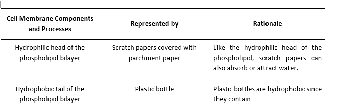 Cell Membrane Components
Represented by
Rationale
and Processes
Hydrophilic head of the
Scratch papers covered with
Like the hydrophilic head of the
phospholipid bilayer
parchment paper
phospholipid, scratch papers can
also absorb or attract water.
Hydrophobic tail of the
Plastic bottle
Plastic bottles are hydrophobic since
phospholipid bilayer
they contain
