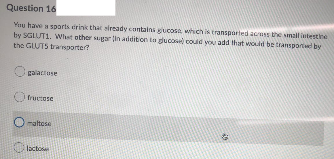 Question 16
You have a sports drink that already contains glucose, which is transported across the small intestine
by SGLUT1. What other sugar (in addition to glucose) could you add that would be transported by
the GLUT5 transporter?
galactose
fructose
maltose
O lactose
